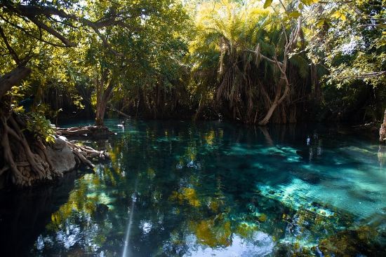 Day Trip to Chemka Hot Springs