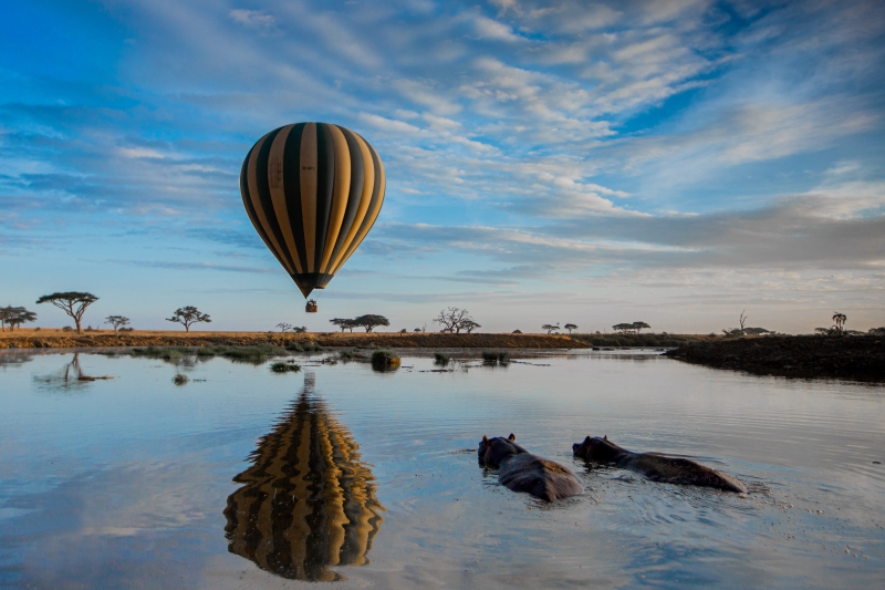 Hot Air Balloon Safari