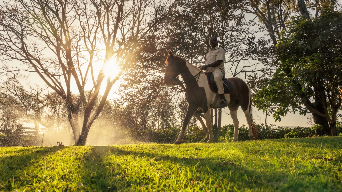 Horseback Riding in Arusha