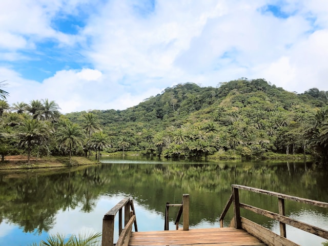 Magoroto Forest Hiking