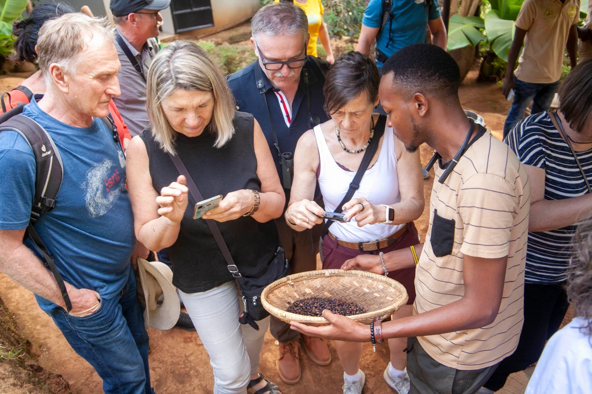 Coffee Plantation Tour