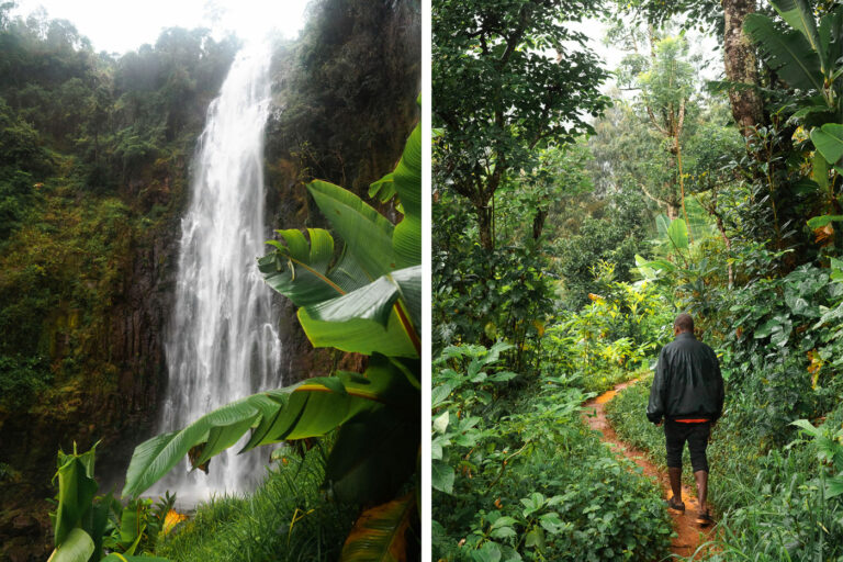 Materuni Waterfalls Day Trip