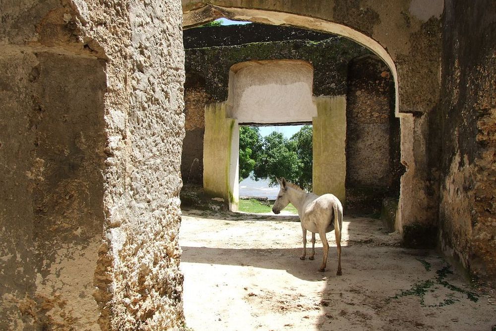 Mtoni Palace Ruins