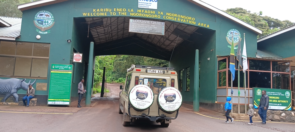 Ngorongoro