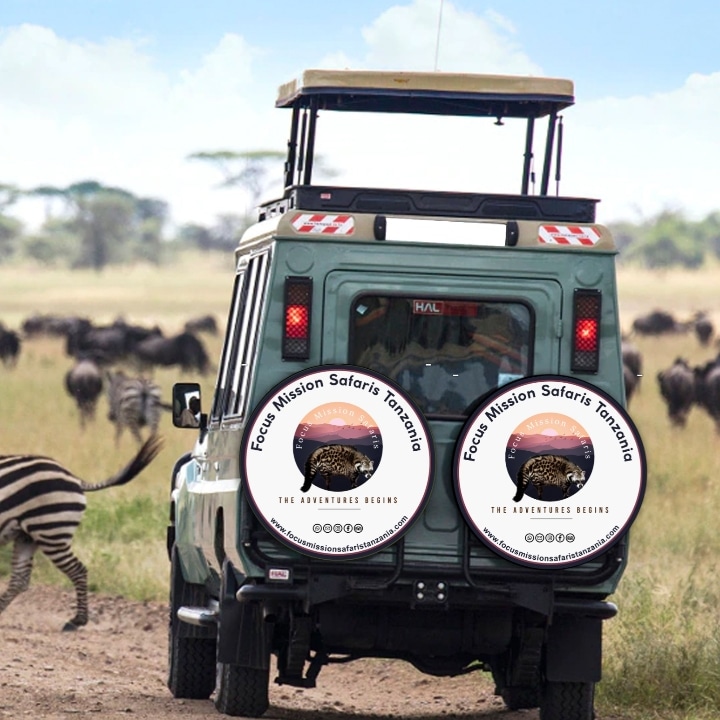 Elephants in Tarangire National Park